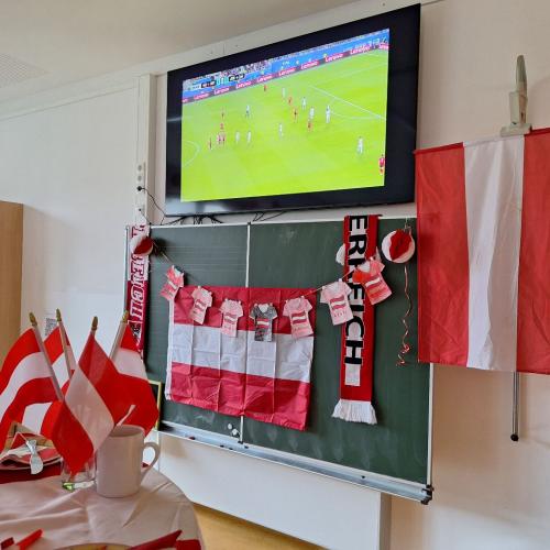 Fußball WM