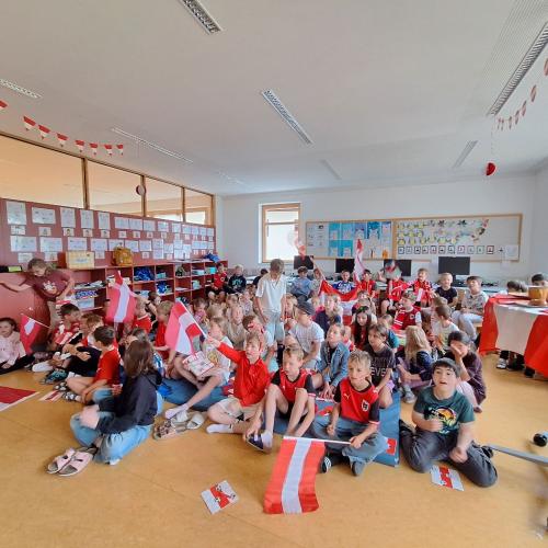 Fußball WM