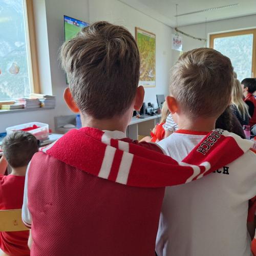 Fußball WM