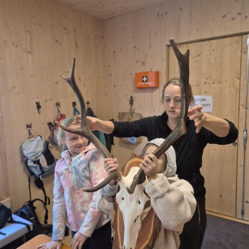Steinbock